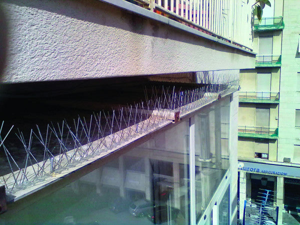 Dissuasore per uccelli in acciaio inox 100x2,7 cm