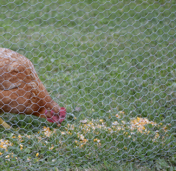 Rete Metallica Zincata a Maglia Esagonale - H. 100 Ø 12 - Maglia 16 mm