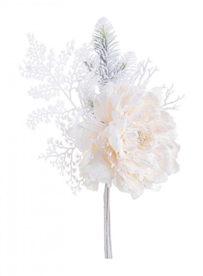 10x Pique Pivoine Ginny Milou Ivoire