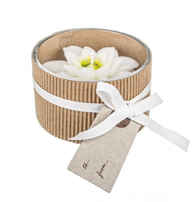 12x Bougie étoile de Noël blanche C