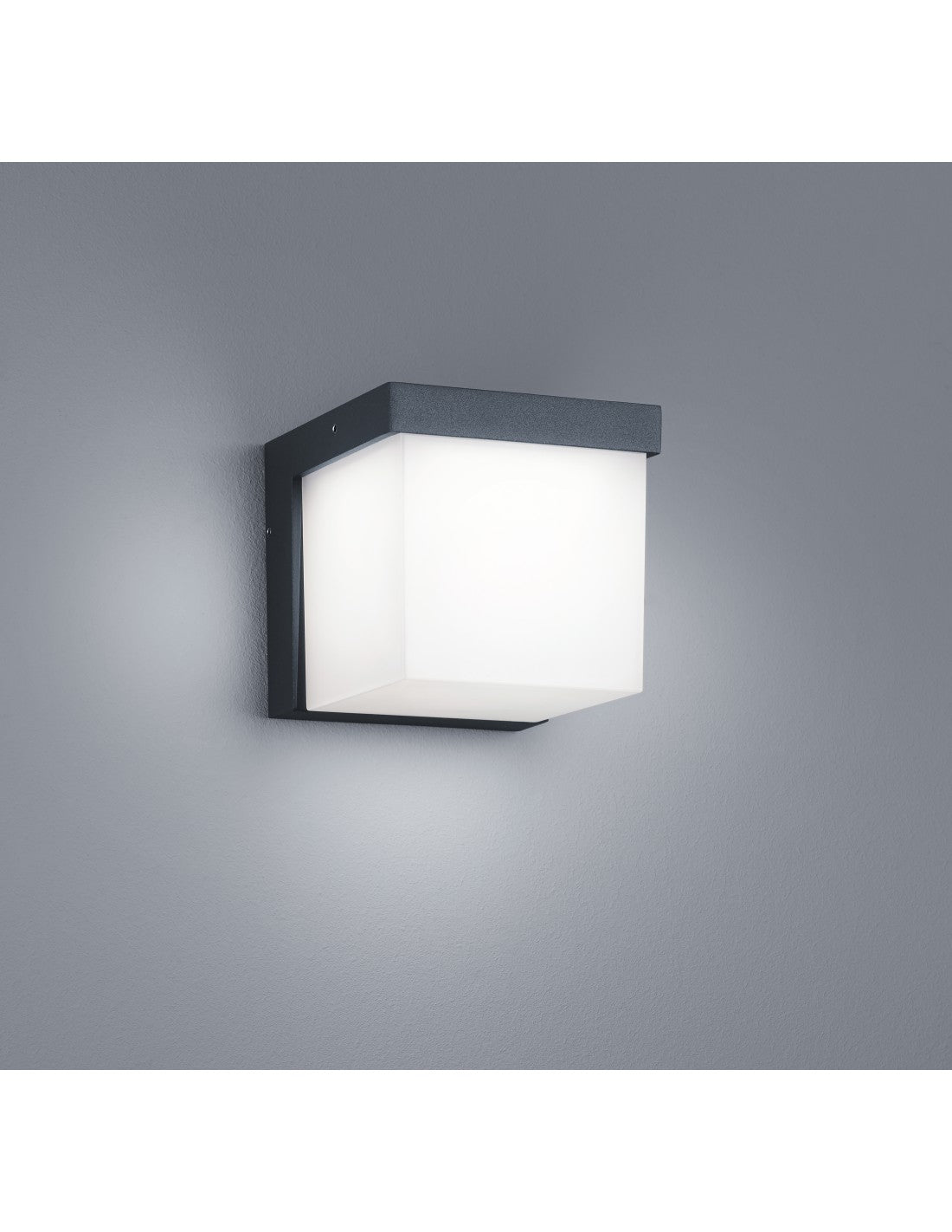 Applique d'extérieur LED Yangtze IP54 Anthracite H11 cm Trio Lighting