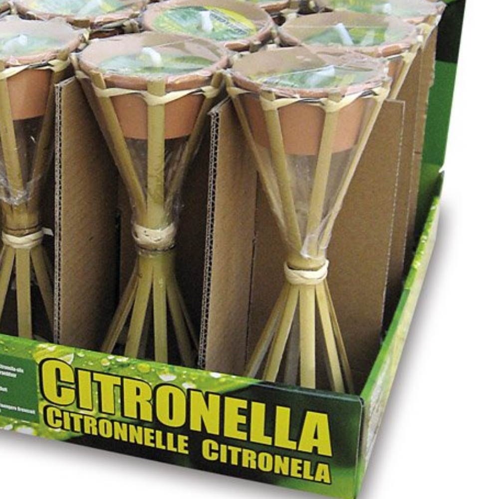 GRANDES TORCHES EXPOSÉES. DE PC. 16h