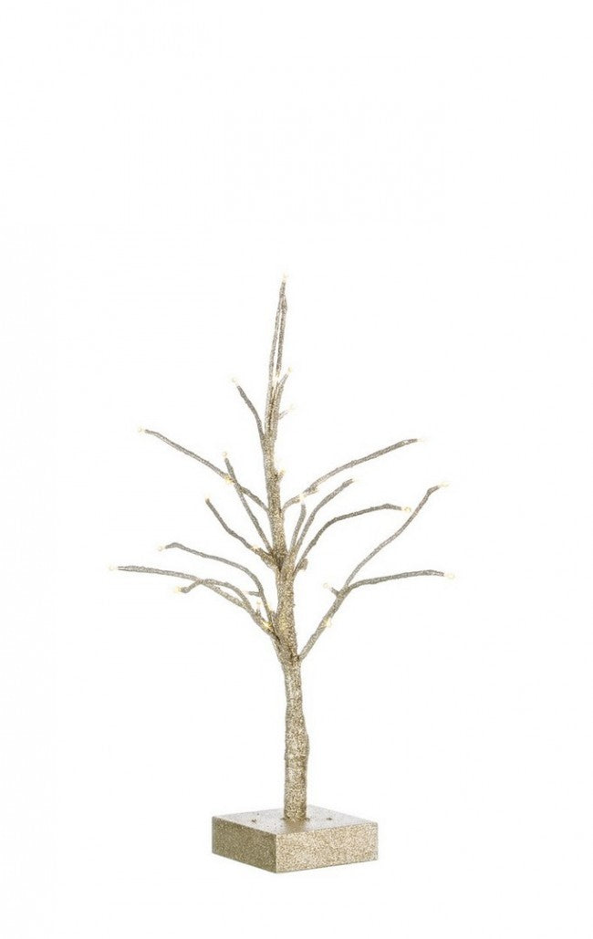 2x Sapin à Champagne Glad H60