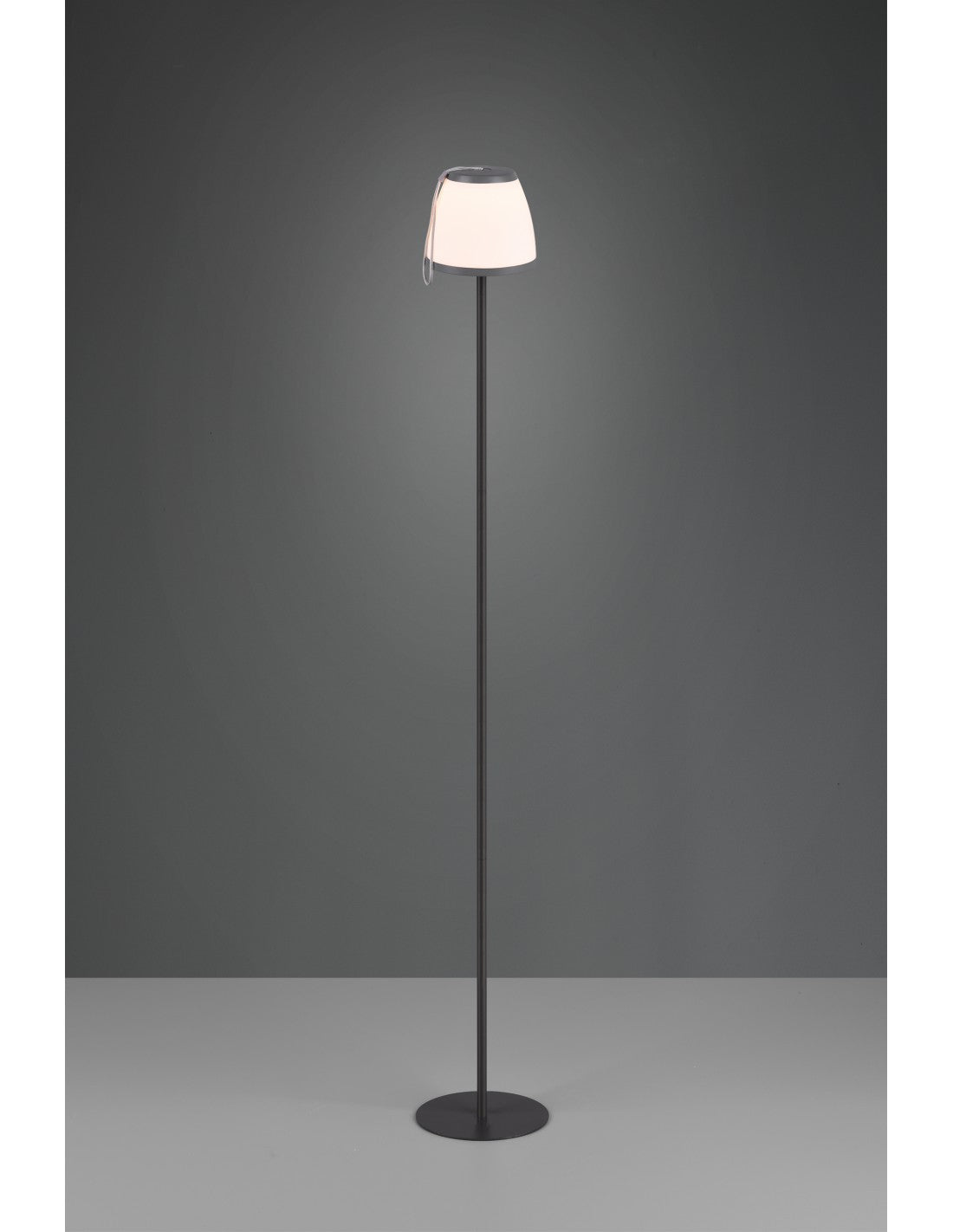Lampadaire Moderne Led Touch Anthracite Domingo IP44 Trio Lighting