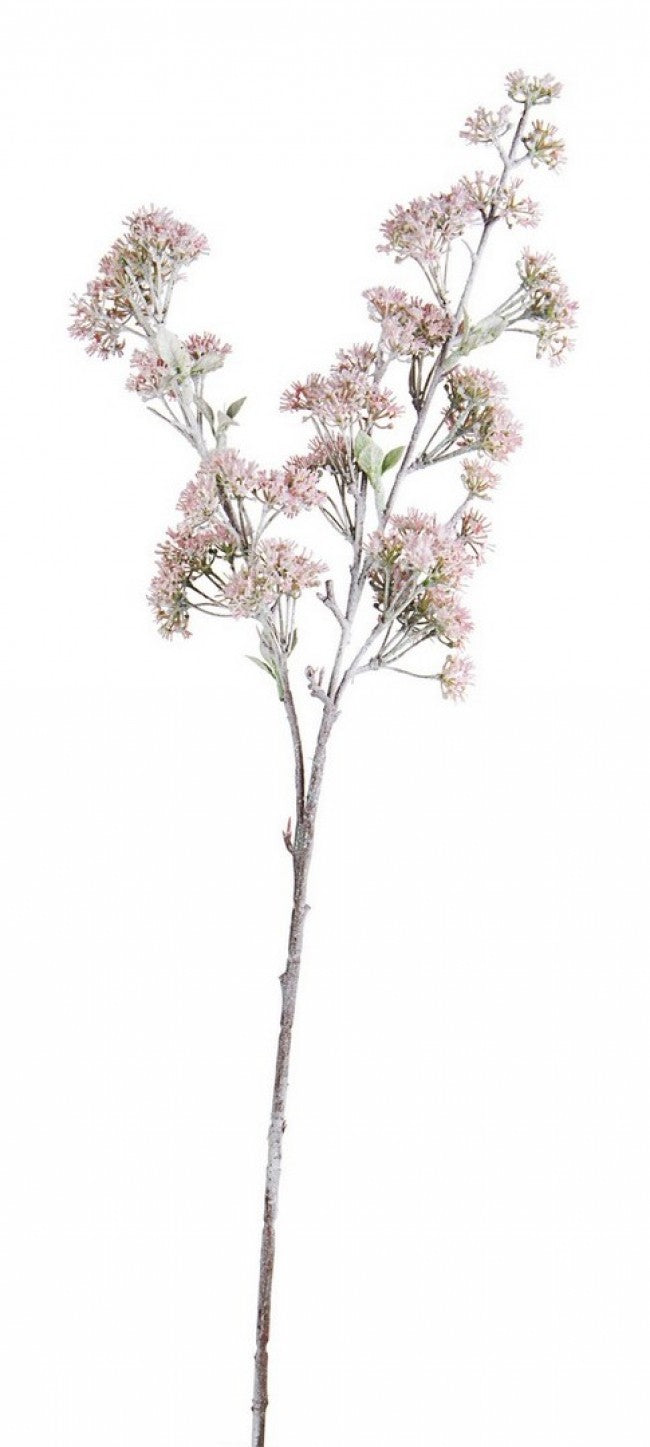 8x Branche Rosea d'Hiver Rose H73cm