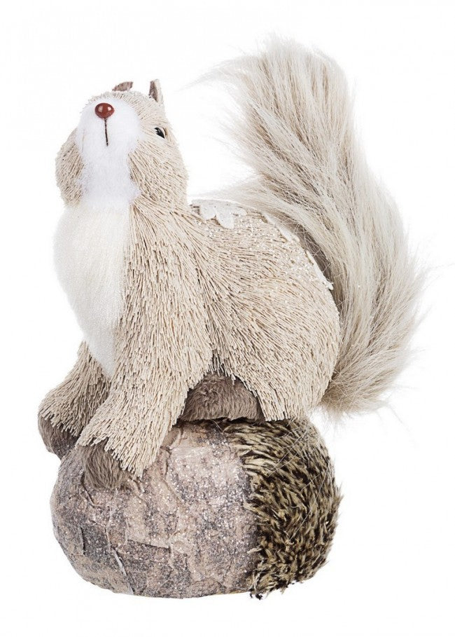 4x Écureuil Wintery C