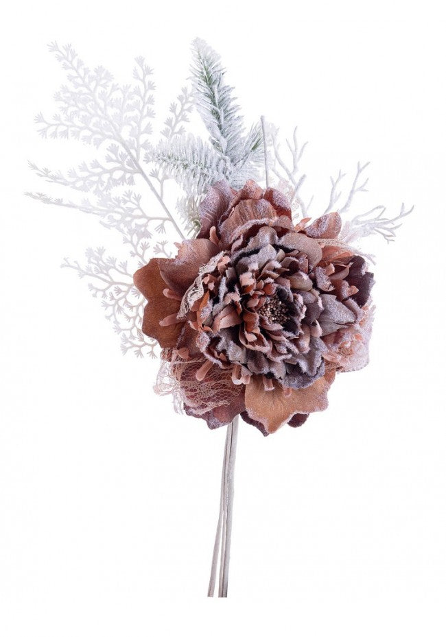 10x Pivoine Ginny Snowy Brown