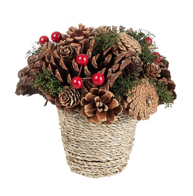 8x Composition Séquoia C