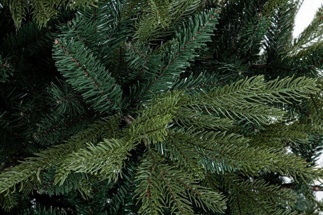 Arbre Bernina H270-5171Branches