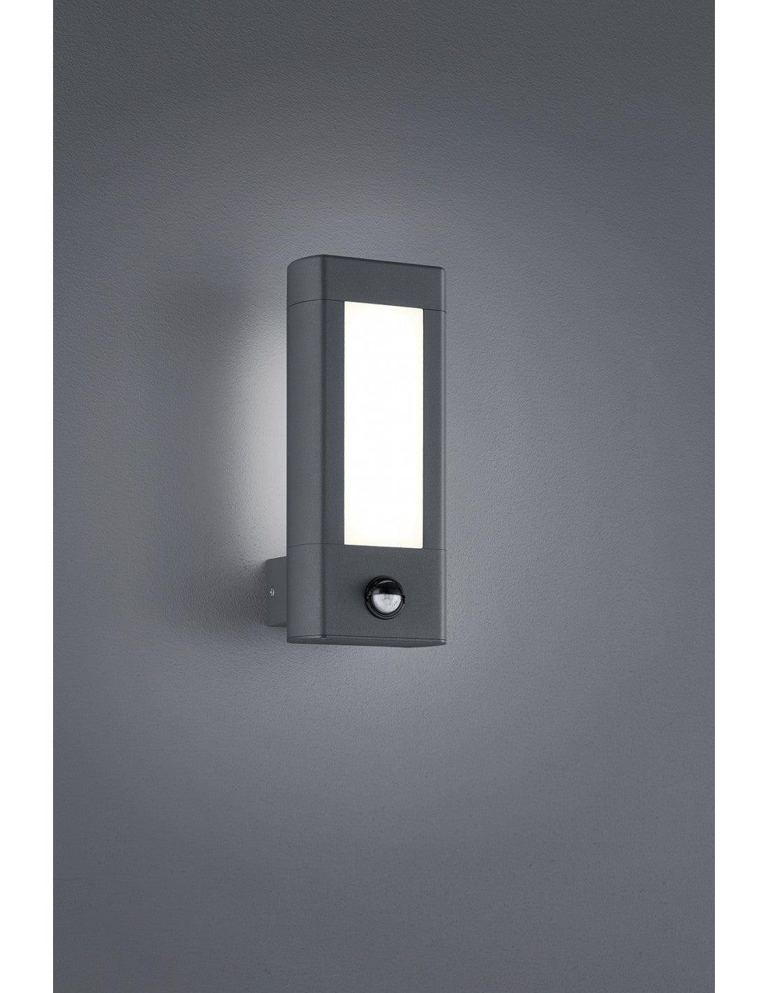 Applique d'extérieur LED Rhine IP54 Anthracite avec détecteur de mouvement H28 cm Trio Lighting