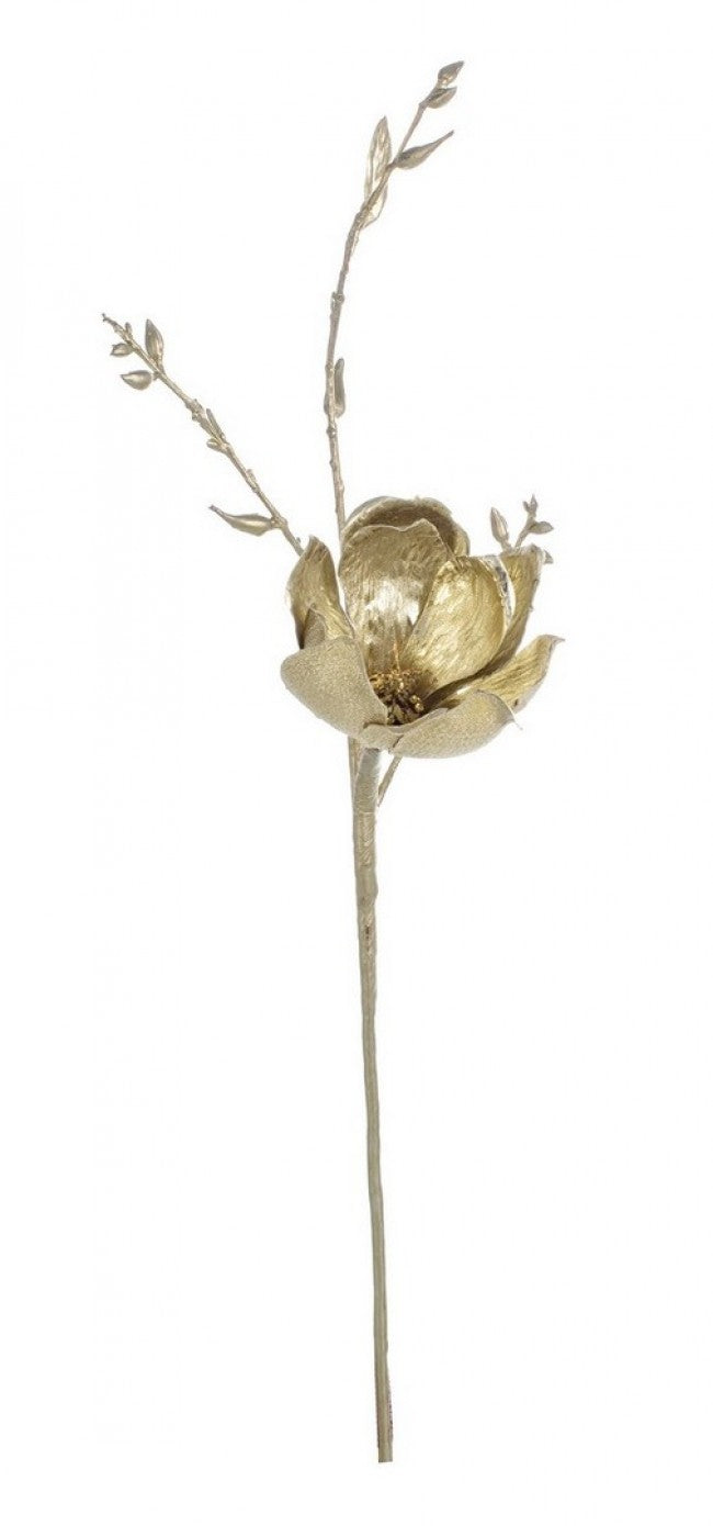 12x Cueillette Nature Feuilles de Magnolia Champagne