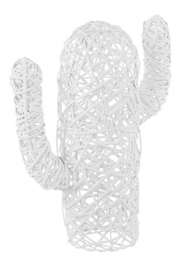 4x Cactus Mexique Blanc H55