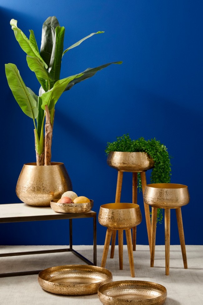 2x Bananier C-Pot 14 Feuilles H135