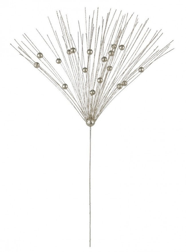 12x Pique Gleam Champagne C