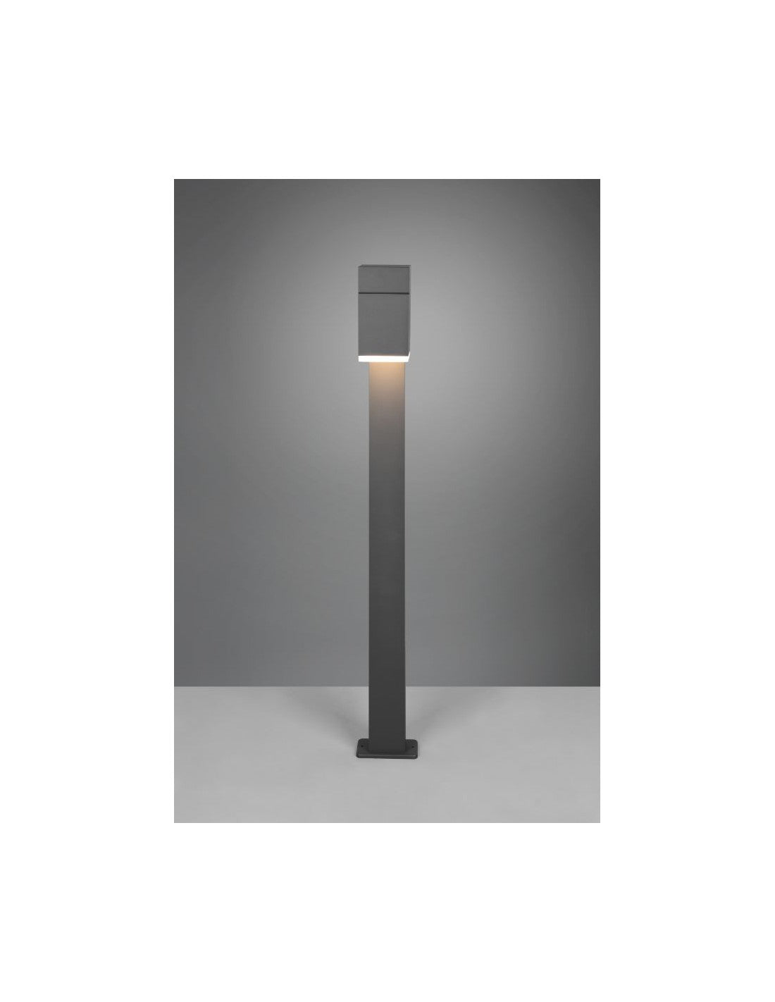 Pole Alto LED Orientable Avon Anthracite IP54 Trio Éclairage