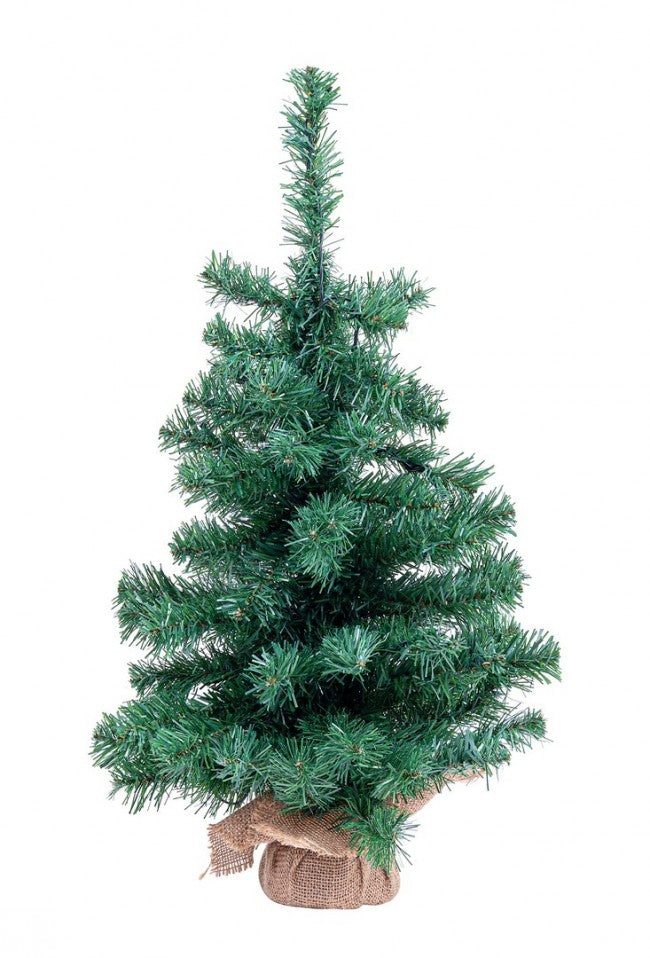 6x arbre Innsbruck H60