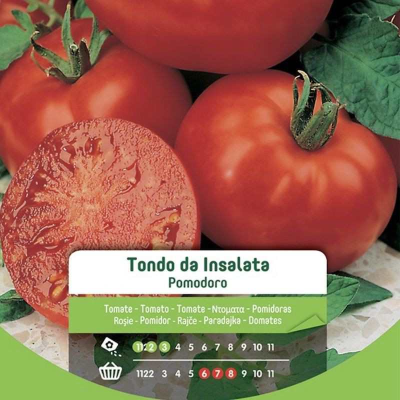 Graines de tomates à salade ronde en sachet