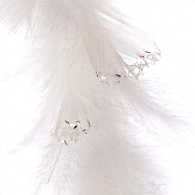 6x Cordes Softy Plumes Blanc 150cm
