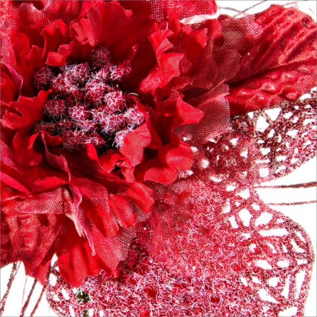 12x Cueillette de Poinsettia Rouge
