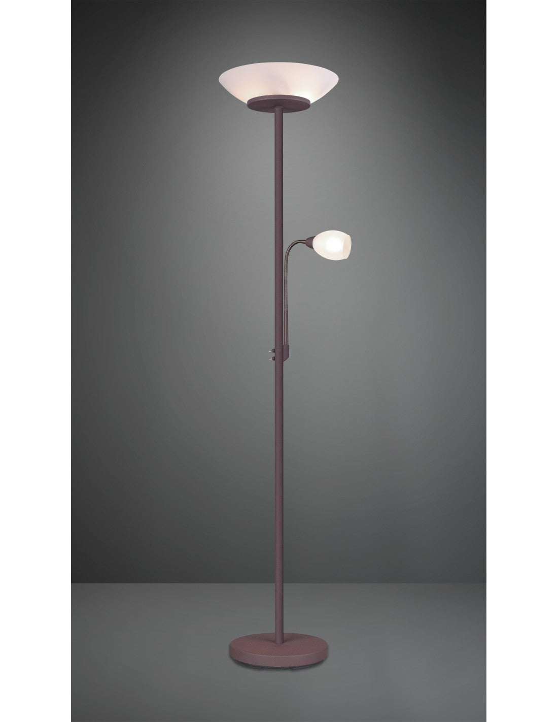 Lampadaire avec spot de lecture Gerry Rouille Blanc Verre Ø34 cm Trio Lighting