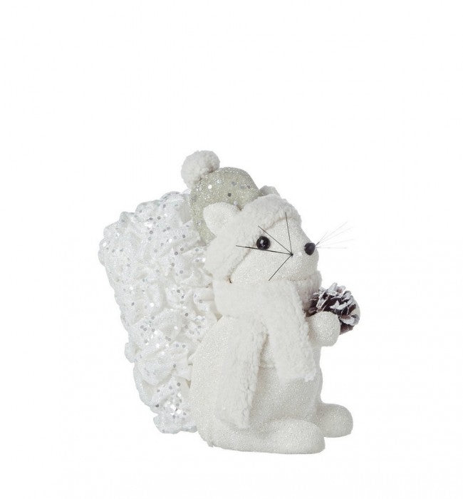 4x Glacier S. Écureuil