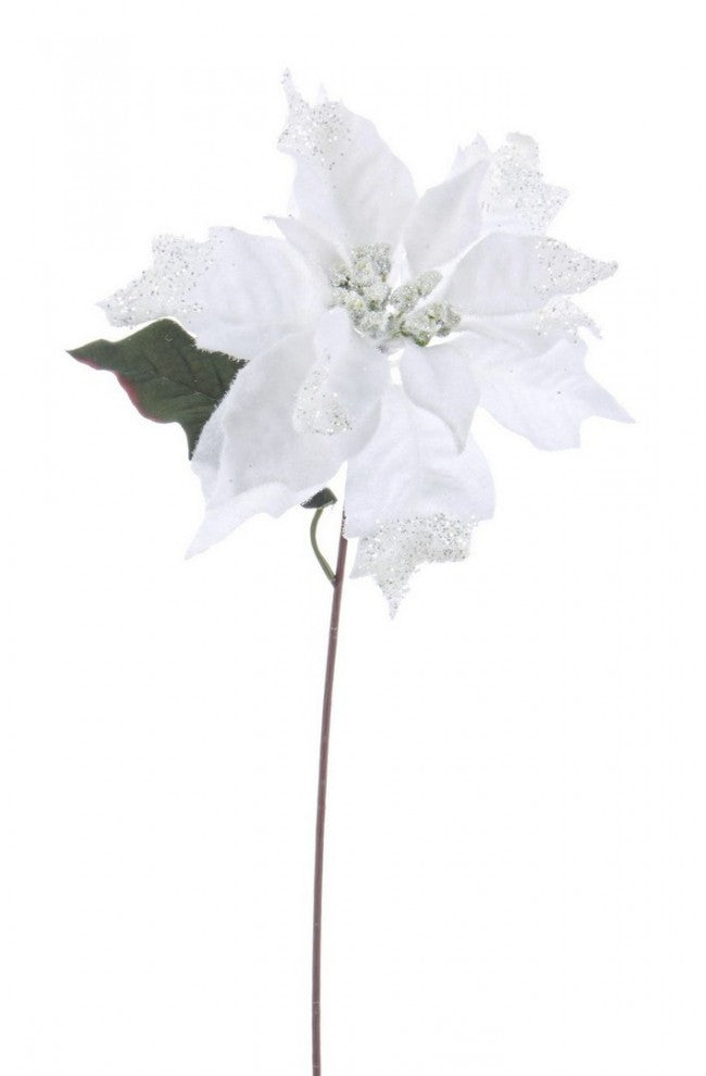 12x Pique Poinsettia Glaciers Blanc H40Cm