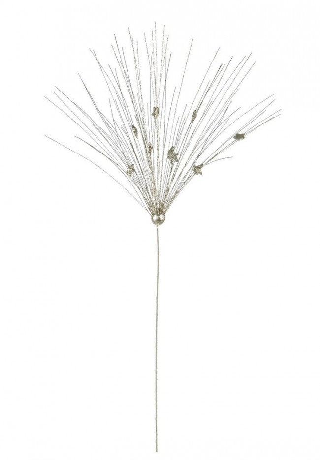 12x Pique Gleam Champagne C