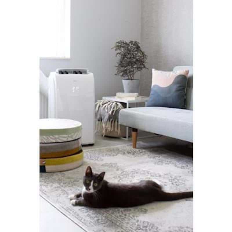 Climatiseur-déshumidificateur portable P522