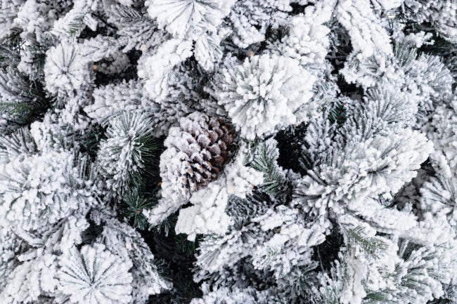 Arbre Arves Enneigé Fr H210-1936Branches