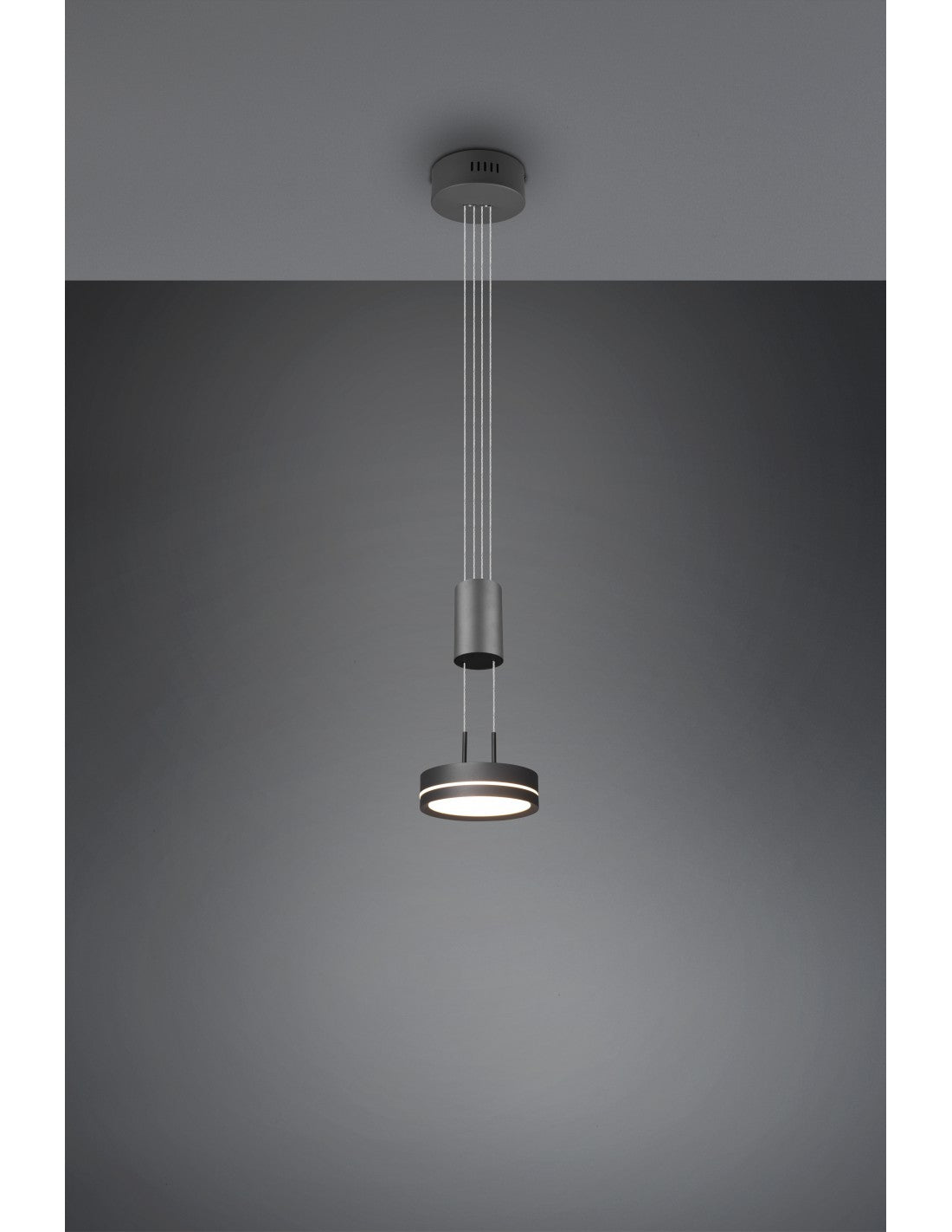 Franklin Anthracite Luminaire suspendu à LED intégré avec suspension à disque Trio Lighting