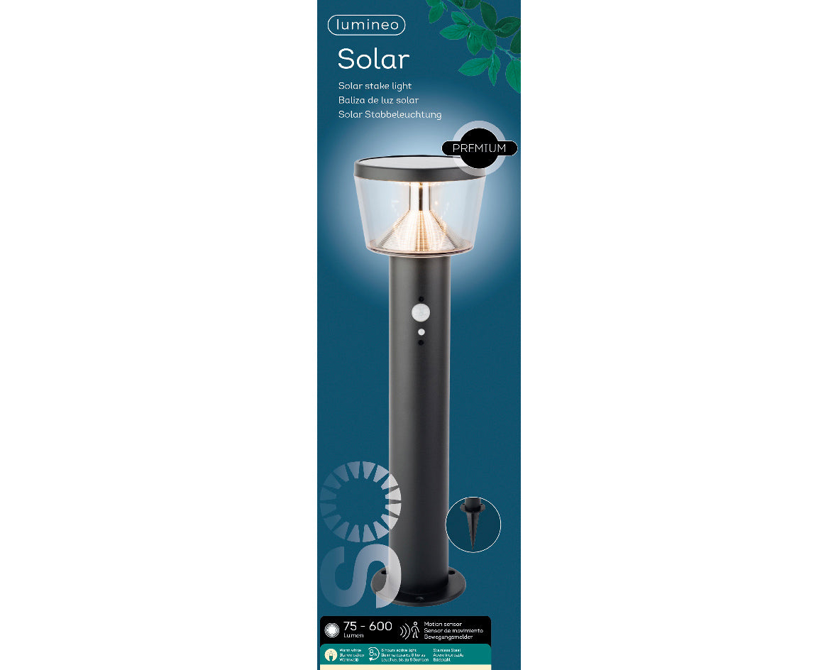 <p> Piquet solaire léger en acier inoxydable<</p>