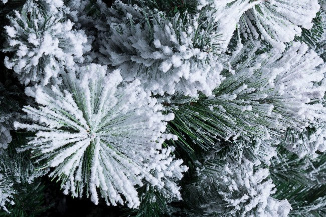 Arbre Hamburg Innev H210-1420Branches