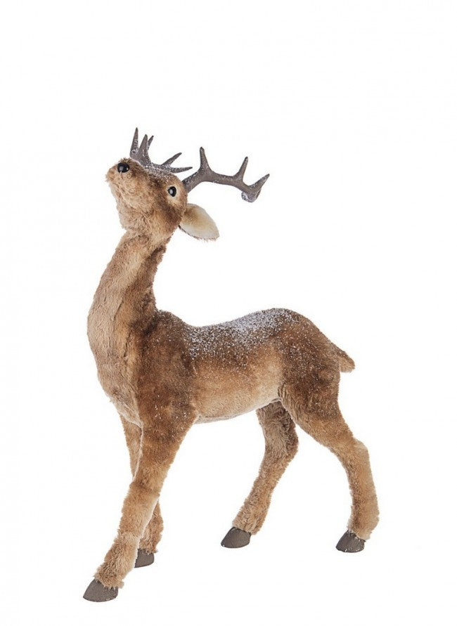 1x Renne Walt Stand S