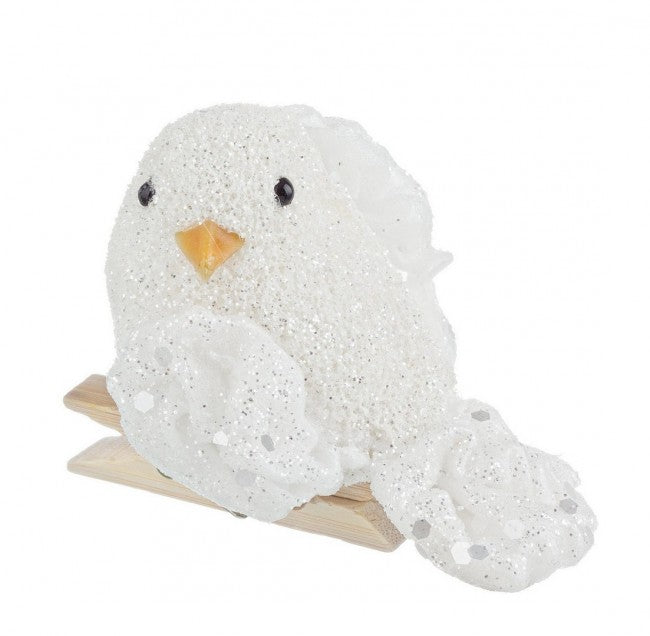 12x oiseau des glaciers