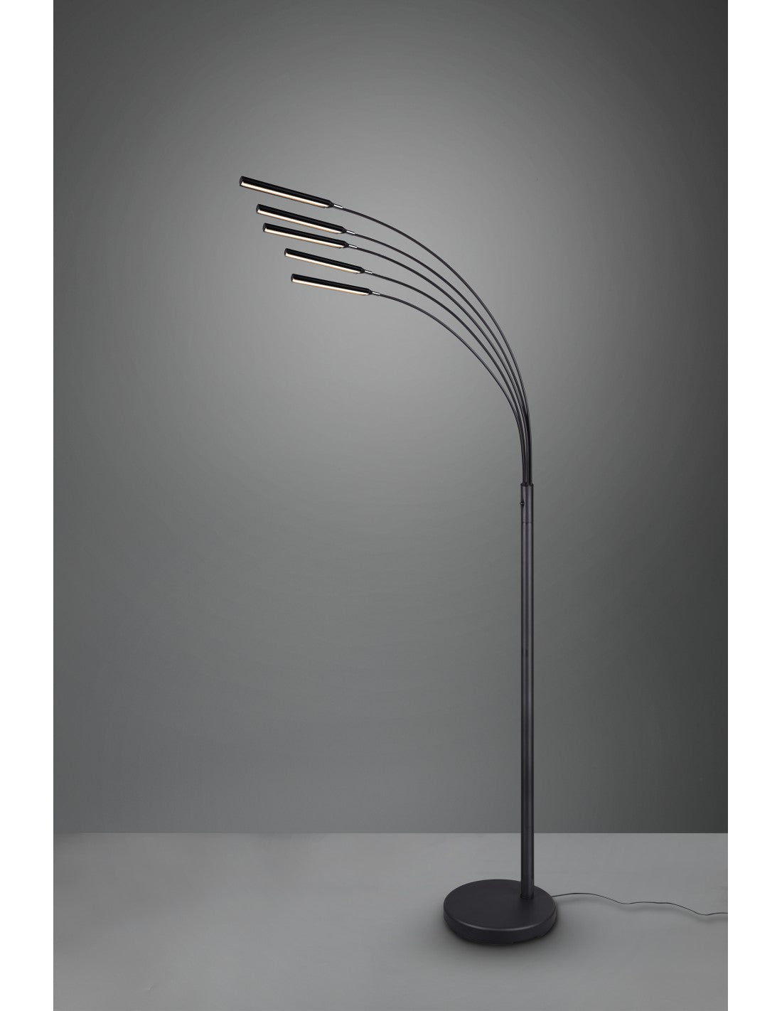 Lampadaire Reed 5 Arches LED Noir Mat H195 cm Trio Lighting