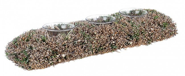 4x P.Candela 3P Wild Rett