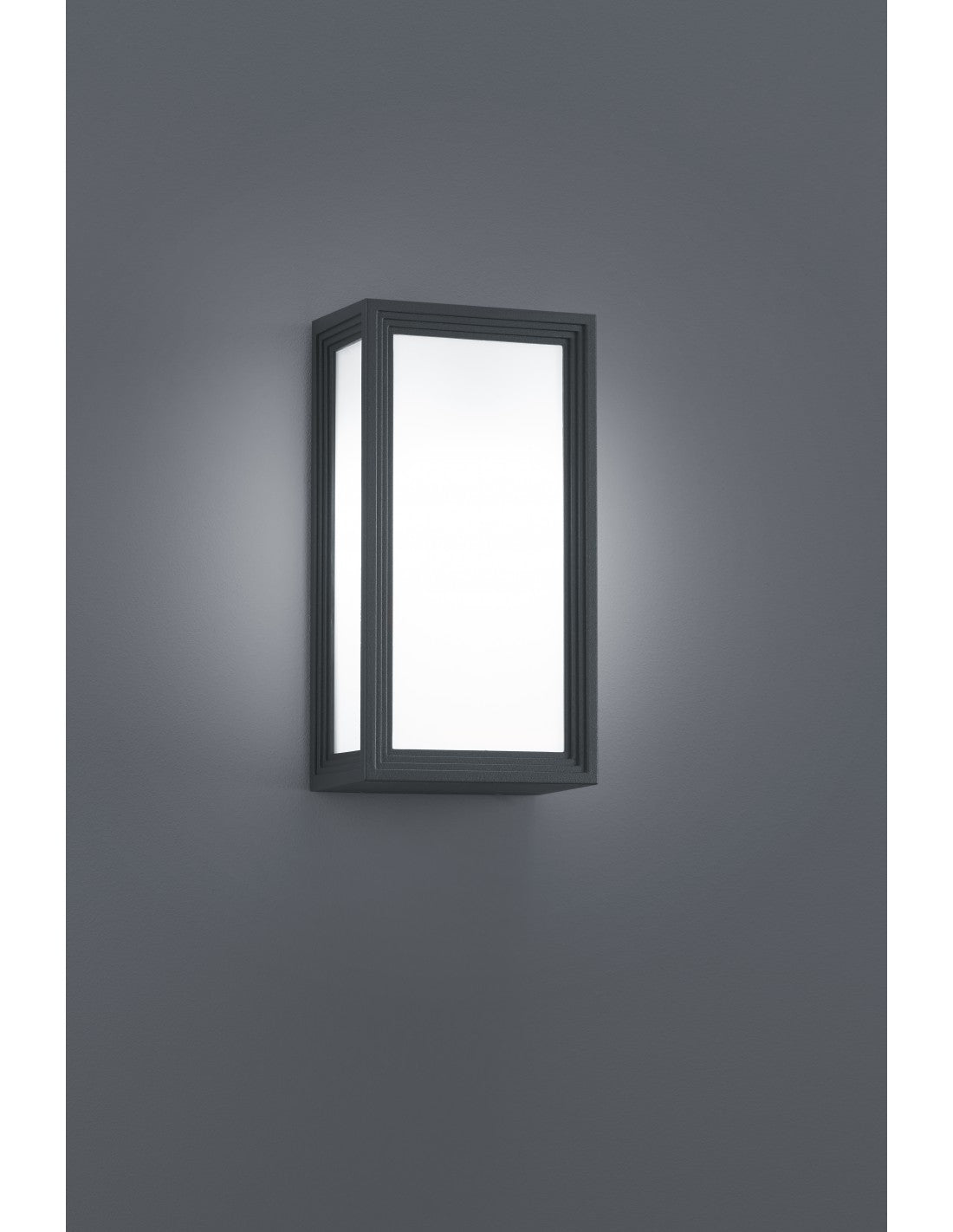 Applique d'extérieur Led Timok IP54 Anthracite H25 cm Trio Lighting