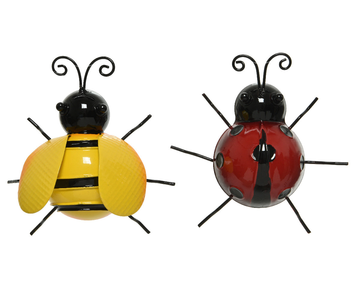 Insecte de fer extérieur