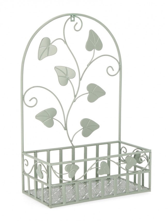 4x Mur P.Fiore Harriet Rett Salvia L