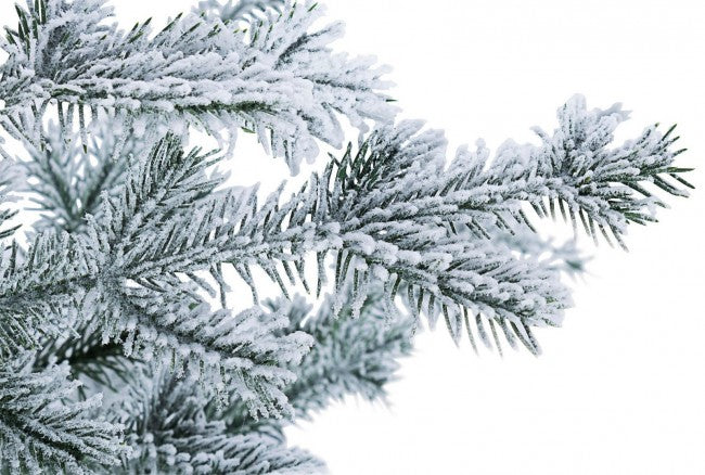 Pin d'Elbrouz enneigé H125