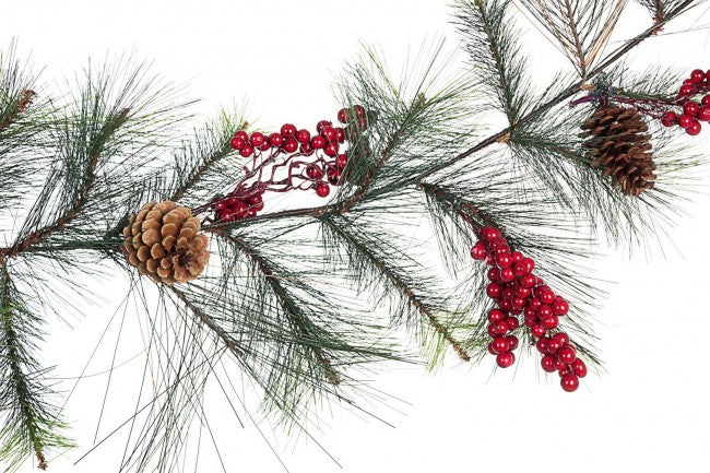 6x Baies Boa Vals Rouge C