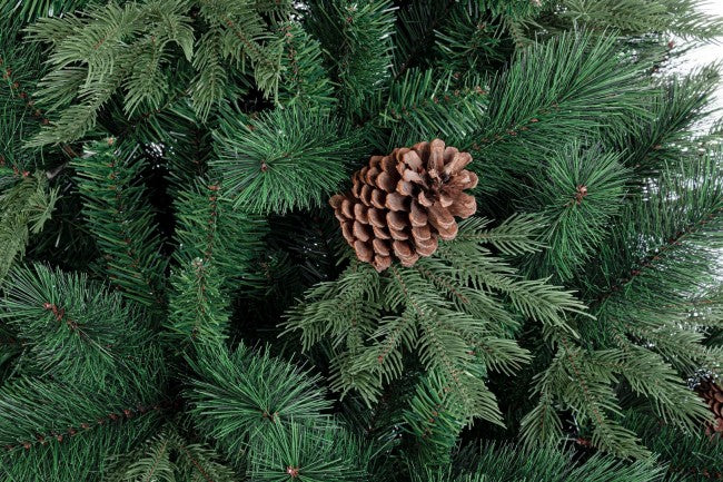 Arbre d'Arves H240-2605Branches