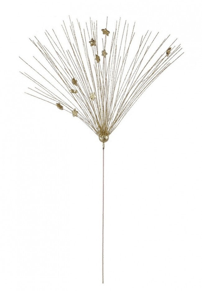 12x Pick Gleam Gold C-Stars