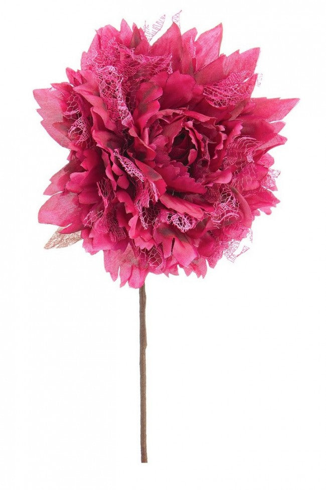 12x Pique Rosa Frise' Bourgogne