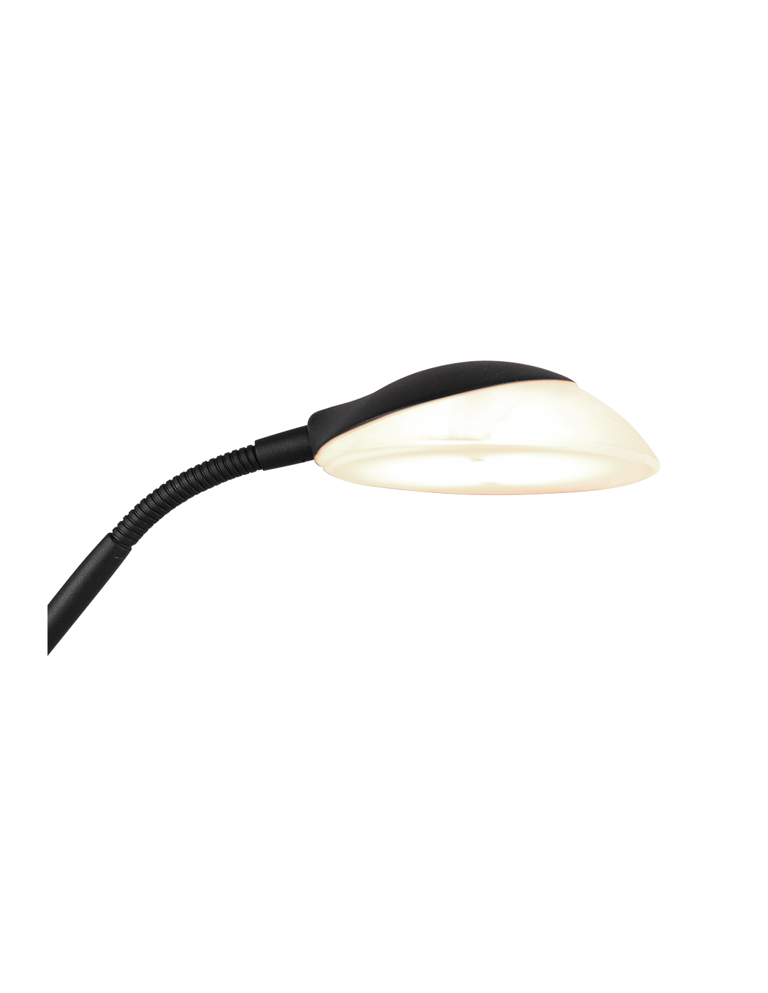 Lampadaire LED avec spot de lecture Orson Noir Trio Lighting