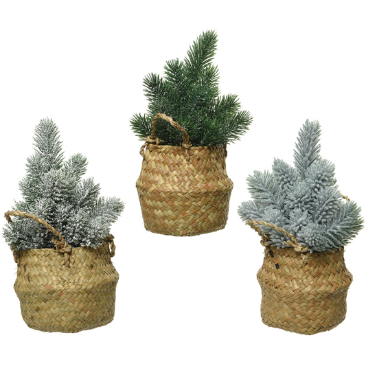 Mini sapins assortis H 24 cm