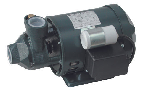 Pompe électrique périphérique Lowara série P