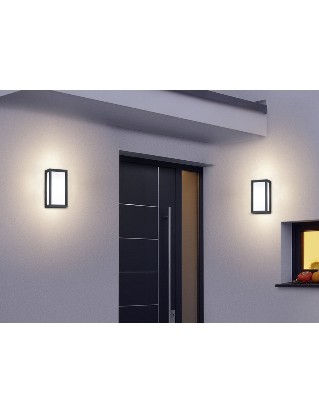 Applique d'extérieur Led Timok IP54 Anthracite H25 cm Trio Lighting