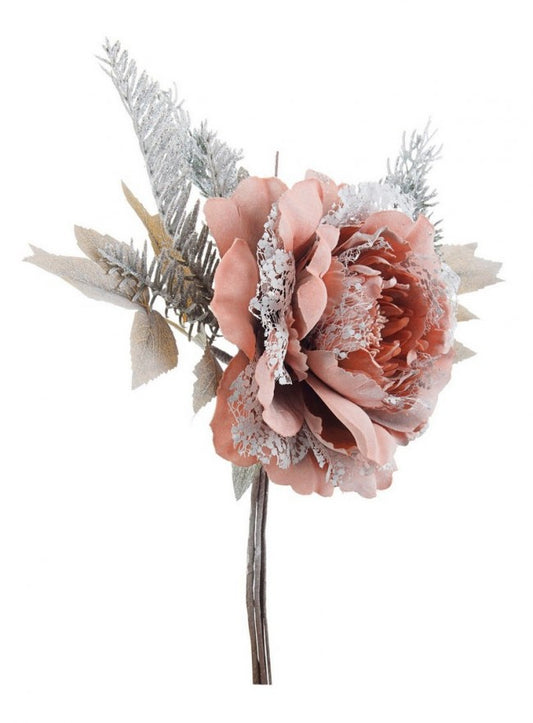 12x Pivoine Amalia Corail C