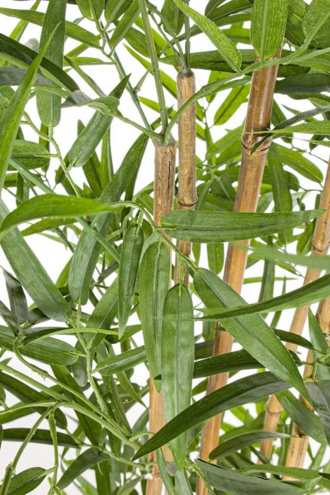 2x C-Pot pour Plantes en Bambou H155cm